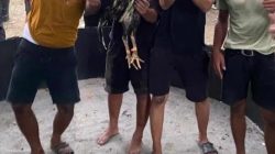 Diduga Kapolsek Pante Labu dapat setoran dari judi sabung ayam “Sis Bengkel & Heri”,Diminta Kepada Kapolres dan Kapolda tangkap dan Copot Kapolsek Pante labu