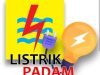 Listrik Jakarta Berulangkali Padam, IWO: Dirut PLN Tak Kenal Budaya Mundur, Harus Dicopot dan Diperiksa.