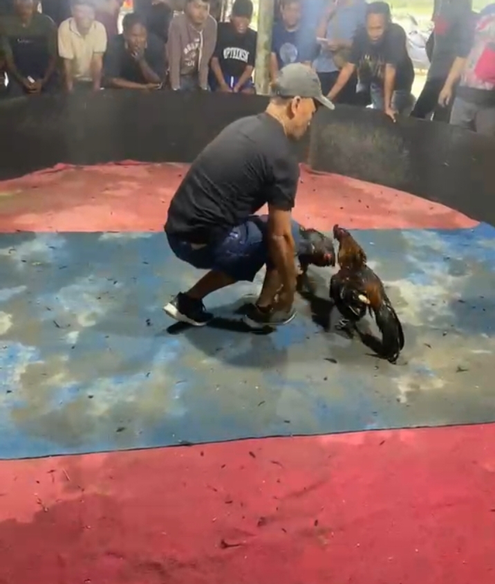 Kapolsek Kutalimbaru Diduga Terima Setoran, Kapolda Sumut Diminta Bertindak